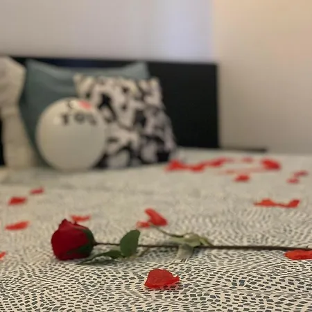 Alojamento Flor Da Serra Farm stay Castanheira de Pera